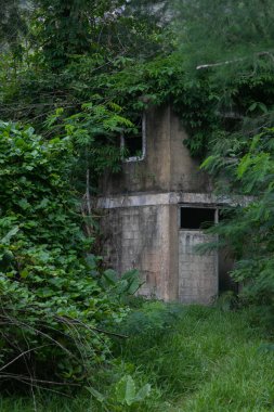 An abandoned old stone house in the jungle. Windows and doors broken out, plants sprouting through the openings. The roof is demolished, the building looks like ruins. The jungle surrounds it.