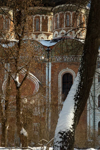 前景是一个巨大的树干 树皮部分被雪覆盖 背景上是一个略显模糊的东正教教堂的轮廓 它是用红石做的 有三个圆顶 镶嵌着五彩斑斓的马赛克 — 图库照片