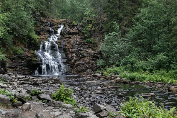 A high waterfall in the middle of a green northern forest. The rocks around the waterfall are rugged and create many steps. Water foams and flows as a river through the forest along the stones.