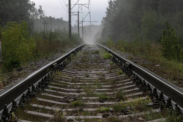 Gloomy photograph of a straight long railway. Rails receding and blurring in the distance in thick white fog. In the distance, silhouettes of power poles are visible in the fog. Deep forest is around