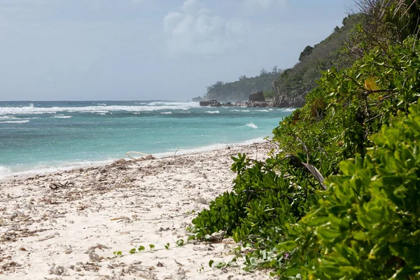 Typical Seychelles landscape. A palm tree hangs over a snow-white beach. In the distance, along the perfect beach, large rocks half-sink into the turquoise water. Idyllic paradise place.