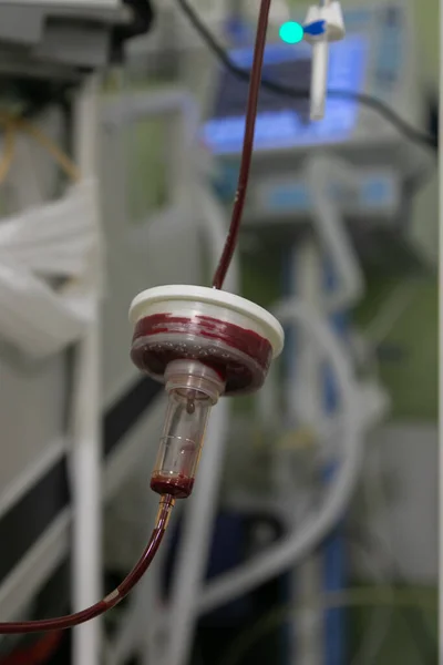 여되고 곳에는 기구들 에둘러 중환자실의 방에서 상태로 환자에게 수혈하는 — 스톡 사진