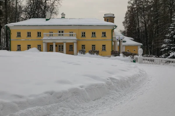 Beyaz kolonları olan klasik sarı bir malikane kış bahçesinde duruyor. Etrafı ağaçlar ve bir sürü karla çevrili. Sürüklenmeler derin ve ağaçlar karla kaplı..
