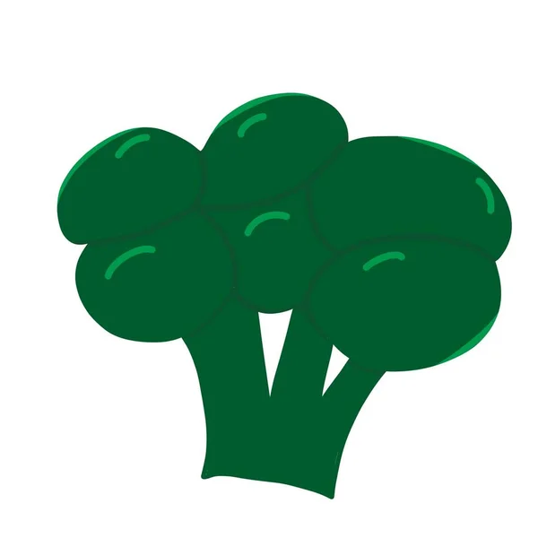 Ilustrace Brokolice Zelená Přírodní Zelenina Zdravé Jídlo Zemědělské Produkty — Stock fotografie