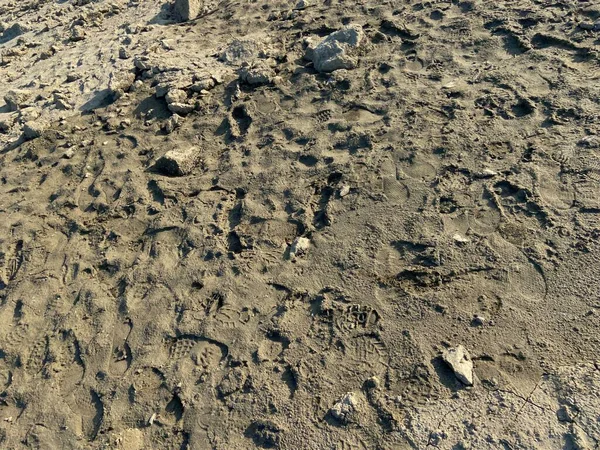 sand by the sea footprints on the ground