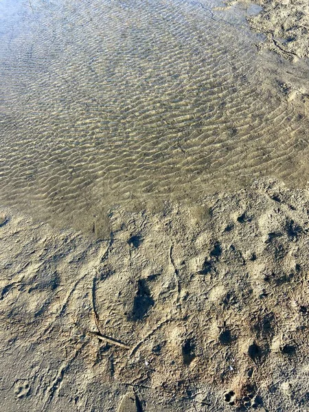 sand by the sea footprints on the ground