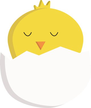 Kabuklu tavuk. yeni hayat