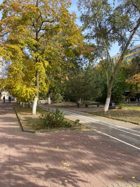 Parkta sonbahar yaprakları sararır.