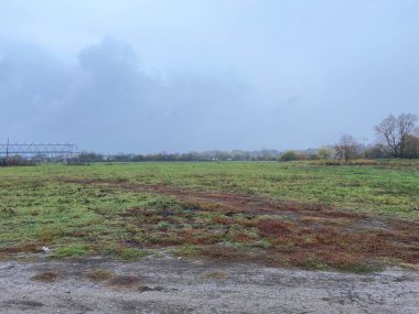 Parlak toprak yüzeyi. Sonbaharın başı