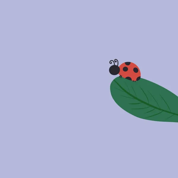 Marienkäfer Auf Einem Blatt Insekt Rand — Stockfoto