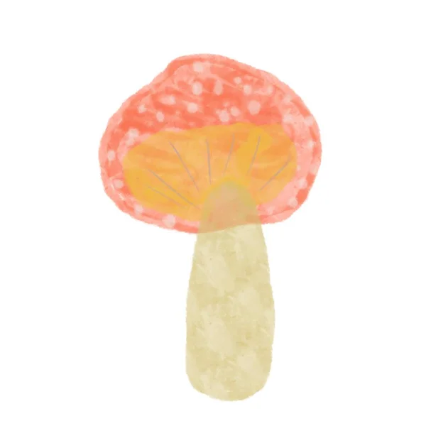 Mucha Agaric Akwarela Grzyb Ilustracja — Zdjęcie stockowe