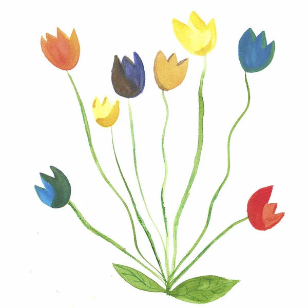 Ramo Tulipanes Colorido Acuarela — Foto de Stock