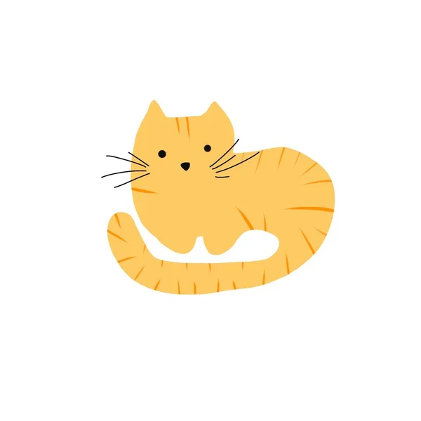 แมวส แดงในแถบน — ภาพถ่ายสต็อก