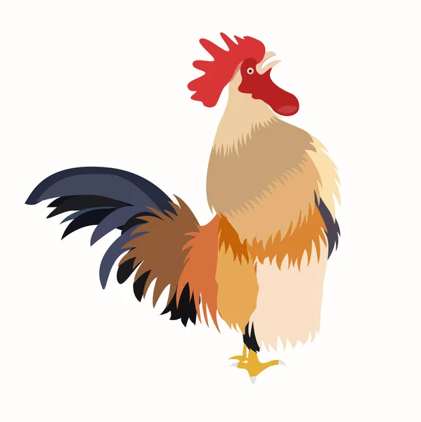 Chicken Rooster Crowing White Background Vector Illustration — Vector de stock