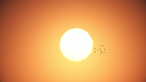 Rebanho Pássaros Que Voam Frente Sol Grande Efeito Calor Verão — Vídeo de Stock