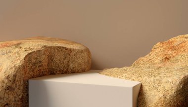 3D podyum beyaz kutu arasında duruyor. 3 boyutlu podyum ürün için doğal ve lüks temalı kavramsal podyum sunuyor..