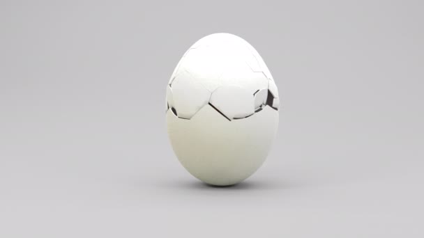 Rendering Hummingbird Animation Born Egg Broken First Time White Background — ストック動画