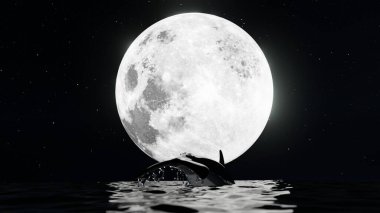 Whale jumping in the ocean have water splash with moon and star background.3D rendering animal in natural at night time.