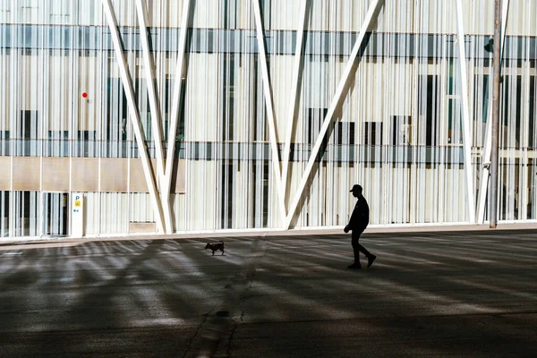 Silhouette Sombre Homme Promenant Chien Avec Bâtiment Blanc Derrière Lui — Photo