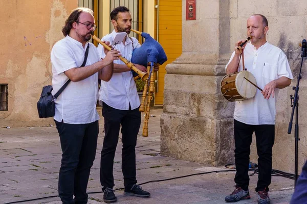 Barcelona España Mayo 2022 Músicos Tocando Calle Con Instrumentos Tradicionales — Foto de Stock