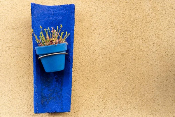 Зелені Рослини Всередині Блакитного Горщика Грубій Парі Середземноморський Краєвид — стокове фото