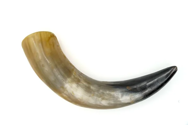 Animal Horn Drinking Ancient Barbarian Peoples Isolated White Background — Zdjęcie stockowe