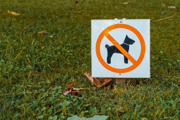 Señal Prohibida Perros Zona Cubierta Hierba Parque Debido Excrementos Perros — Foto de Stock
