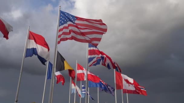 Banderas Nacionales Ondeando Viento — Vídeo de stock