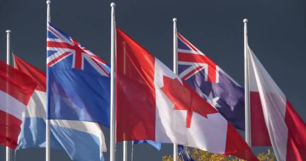 Banderas Nacionales Ondeando Viento — Vídeo de stock