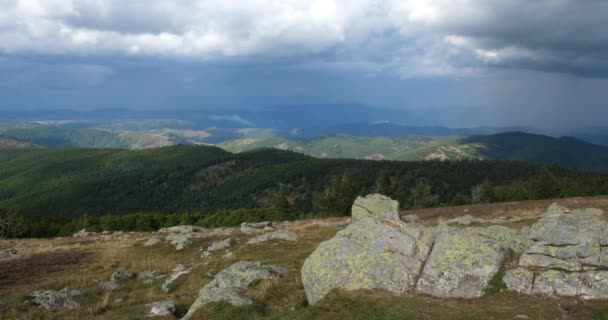 Mont Aigoual Departamento Gard Occitan França Vista Cima — Vídeo de Stock