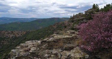 Castelviel arması, Cevennes Ulusal Parkı, Lozere Bölümü, Fransa.