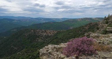 Castelviel arması, Cevennes Ulusal Parkı, Lozere Bölümü, Fransa.
