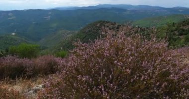 Castelviel arması, Cevennes Ulusal Parkı, Lozere Bölümü, Fransa.