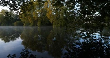 Sainte Perine göleti, Compiegne Ormanı, Picardy, Fransa.
