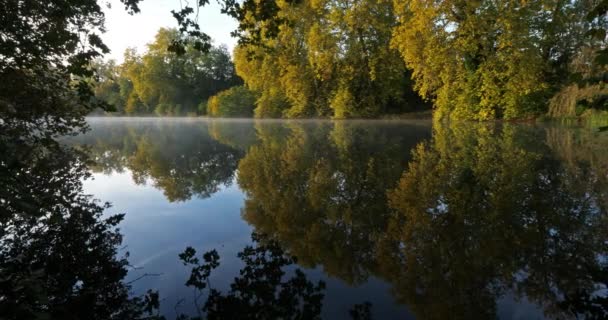 Étang Sainte Perine Forêt Compiègne Picardie France — Video