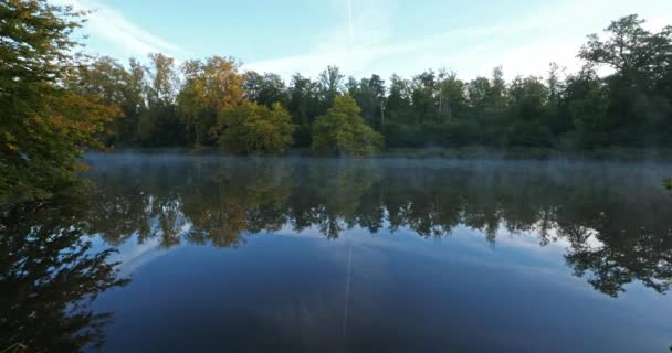 Sainte Perine Forest Compiegne Picardy France — 비디오