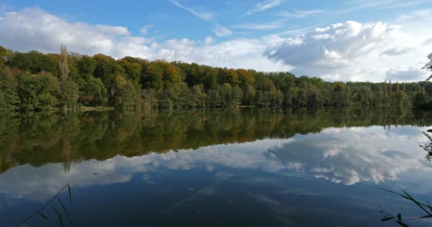 Pond Saint Peter Forest Compiegne Picardy France — стоковое видео