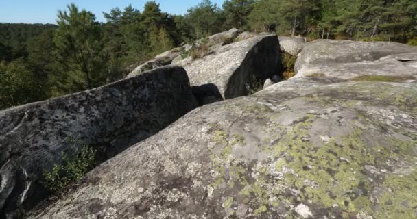 View Gorges Franchard Forest Fontainebleau Seine Marne Department France — Stockvideo
