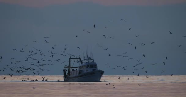 Vissersboten Die Bij Zonsondergang Terugkeren Naar Haven Frankrijk — Stockvideo