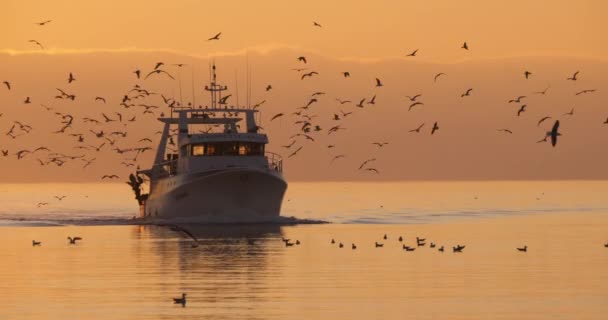 Rybářský Člun Vrací Přístavu Při Západu Slunce Francie — Stock video