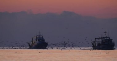 Gün batımında limana dönen balıkçı tekneleri, Fransa