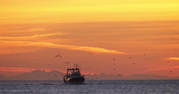 Barcos Pesca Que Regresan Puerto Atardecer Francia — Vídeo de stock