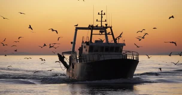 フランス サンセットの港に戻ってくる漁船 — ストック動画