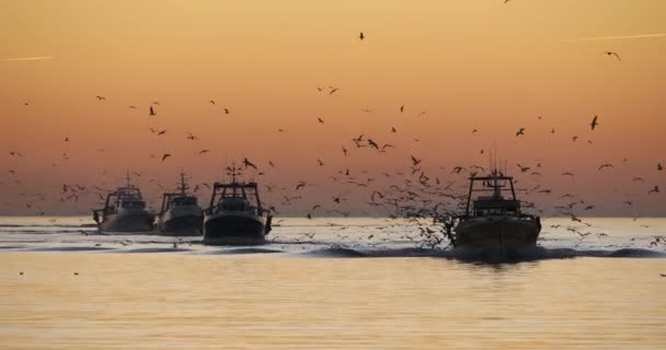 Αλιευτικά Σκάφη Που Επιστρέφουν Στο Λιμάνι Ηλιοβασίλεμα Γαλλία — Αρχείο Βίντεο
