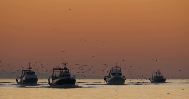 フランス サンセットの港に戻ってくる漁船 — ストック動画