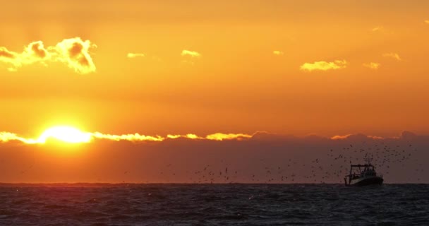 Fiskebåter Som Kommer Tilbake Til Havnen Ved Solnedgang Frankrike – stockvideo