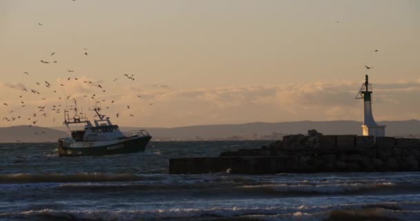 Fischerboote Bei Sonnenuntergang Hafen Von Grau Roi Frankreich — Stockvideo