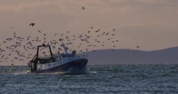 Barcos Pesca Que Regressam Porto Pôr Sol França — Vídeo de Stock