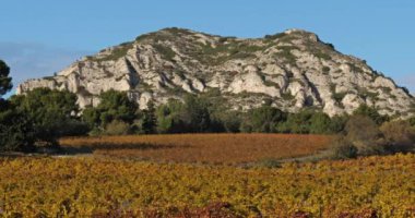 Üzüm bağlarına bakan Alpiller Dağları, Saint Remy de Provence, Fransa