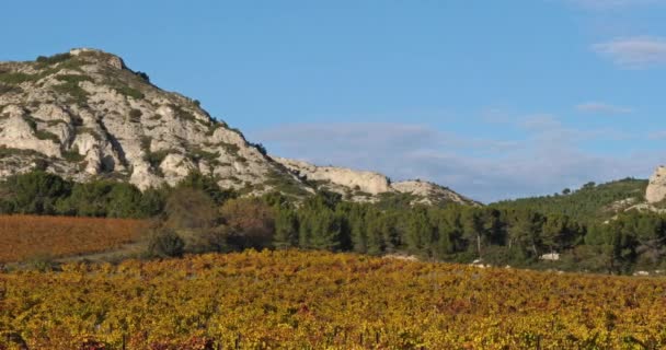 Montanhas Das Alpilles Com Vista Para Vinhas Saint Remy Provence — Vídeo de Stock